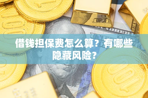 武汉借钱担保费怎么算？有哪些隐藏风险？