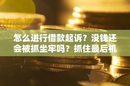 武汉怎么进行借款起诉？没钱还会被抓坐牢吗？抓住最后机会！
