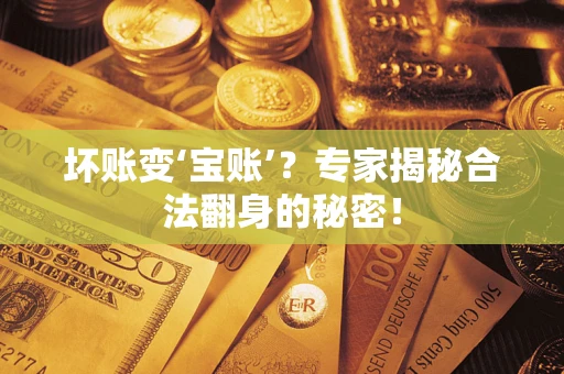 武汉坏账变‘宝账’？专家揭秘合法翻身的秘密！