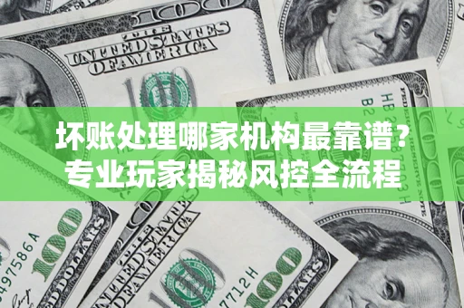 武汉坏账处理哪家机构最靠谱？专业玩家揭秘风控全流程