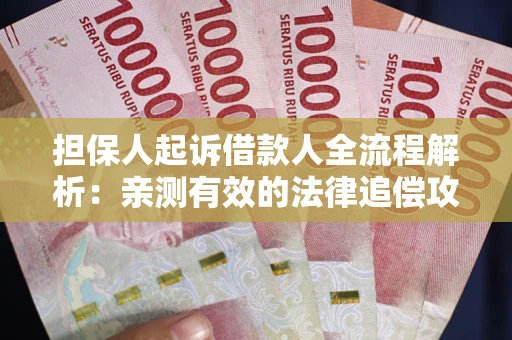武汉担保人起诉借款人全流程解析：亲测有效的法律追偿攻略