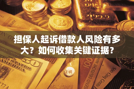 武汉担保人起诉借款人风险有多大？如何收集关键证据？