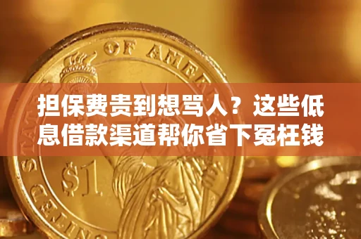 武汉担保费贵到想骂人？这些低息借款渠道帮你省下冤枉钱