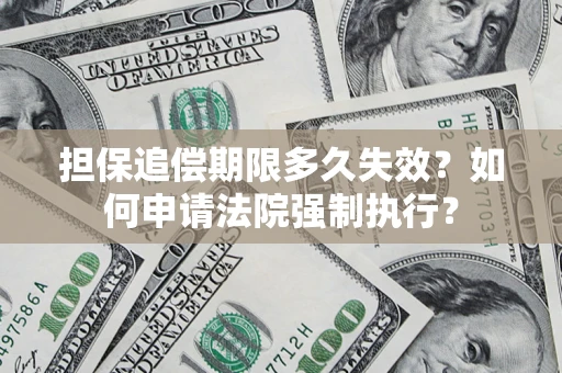 武汉担保追偿期限多久失效？如何申请法院强制执行？