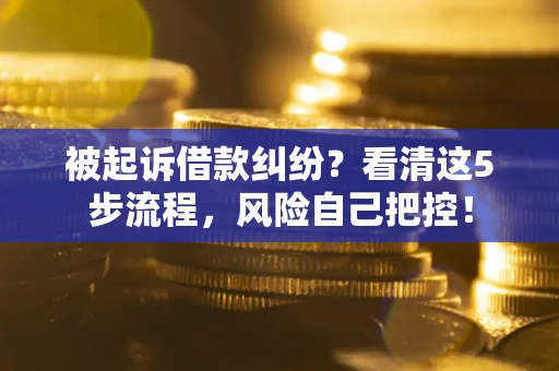 武汉被起诉借款纠纷？看清这5步流程，风险自己把控！