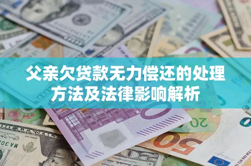 武汉父亲欠贷款无力偿还的处理方法及法律影响解析