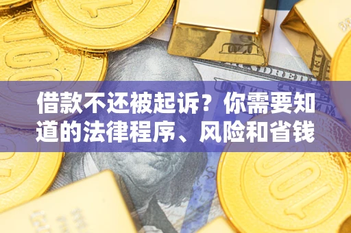 武汉借款不还被起诉？你需要知道的法律程序、风险和省钱技巧
