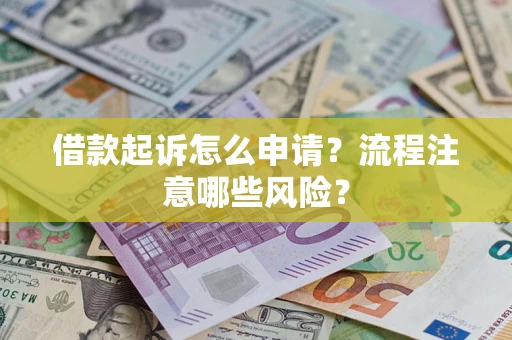 武汉借款起诉怎么申请？流程注意哪些风险？