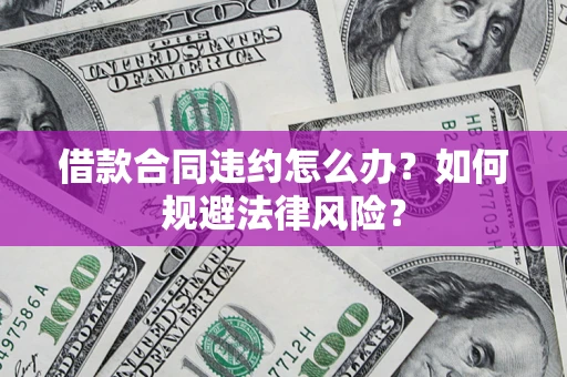 武汉借款合同违约怎么办？如何规避法律风险？